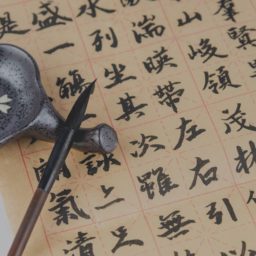 Cours particuliers en ligne de chinois Mandarin