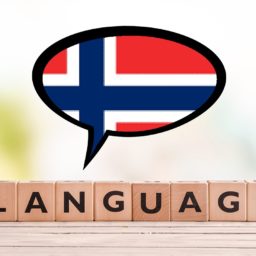 Cours particuliers en ligne de norvégien