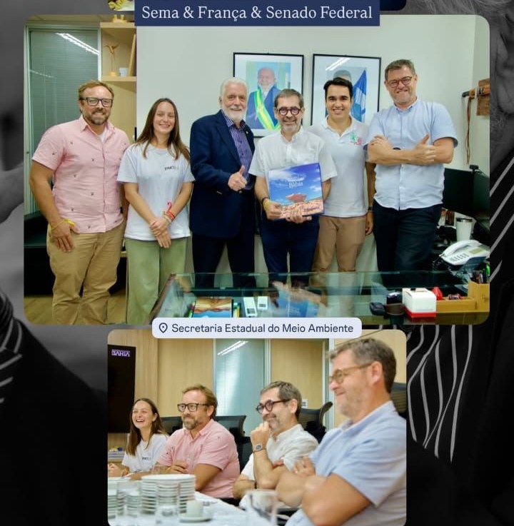 - Le pouvoir d’une langue